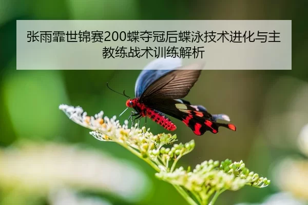 张雨霏世锦赛200蝶夺冠后蝶泳技术进化与主教练战术训练解析